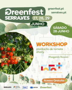 Workshop de plantação de tomate cherry